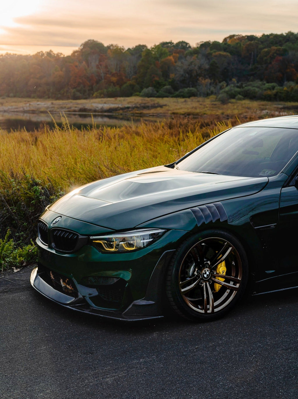 Laptor Style Carbon Fiber Front Lip - BMW F80 M3 & F82 / F83 M4